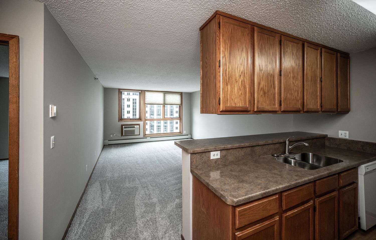433 7th Street Unit 1819 Minneapolis MN 55415